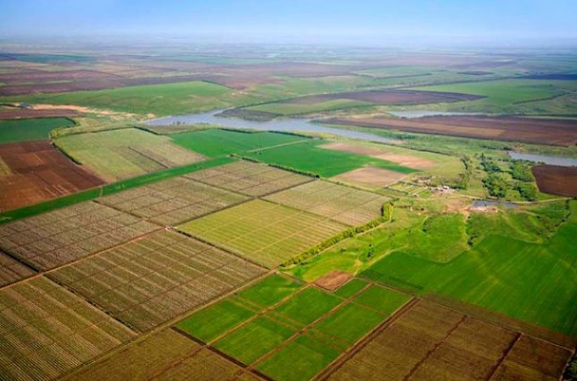 В Україні торік продали майже 200 тисяч гектарів сільгоспземель