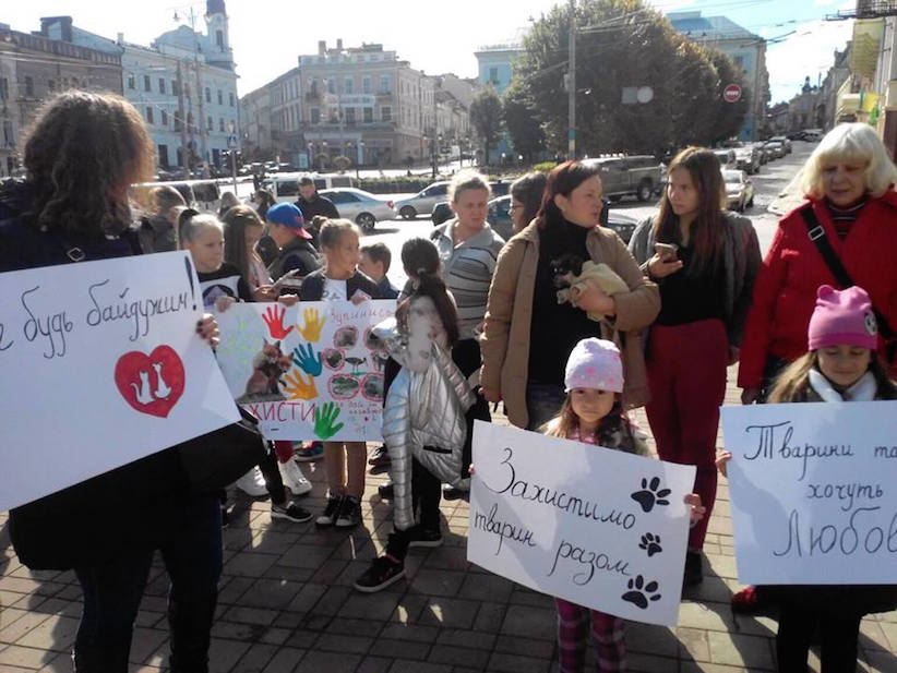 Бути гуманними: у Чернівцях відбувся марш за права тварин
