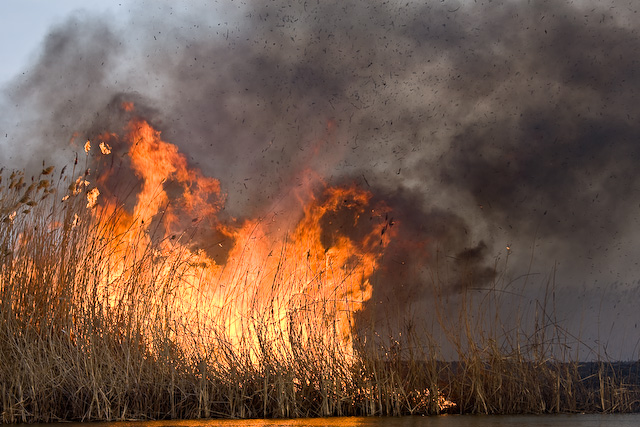 ДСНС попереджає про найвищий рівень пожежної небезпеки в Україні