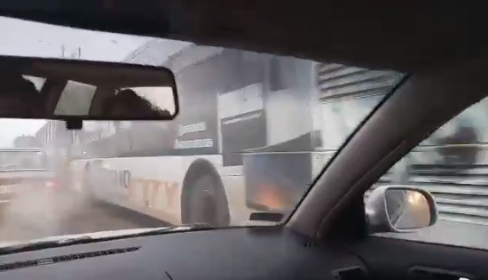 У Чернівцях зупинилися тролейбуси – ЗМІ