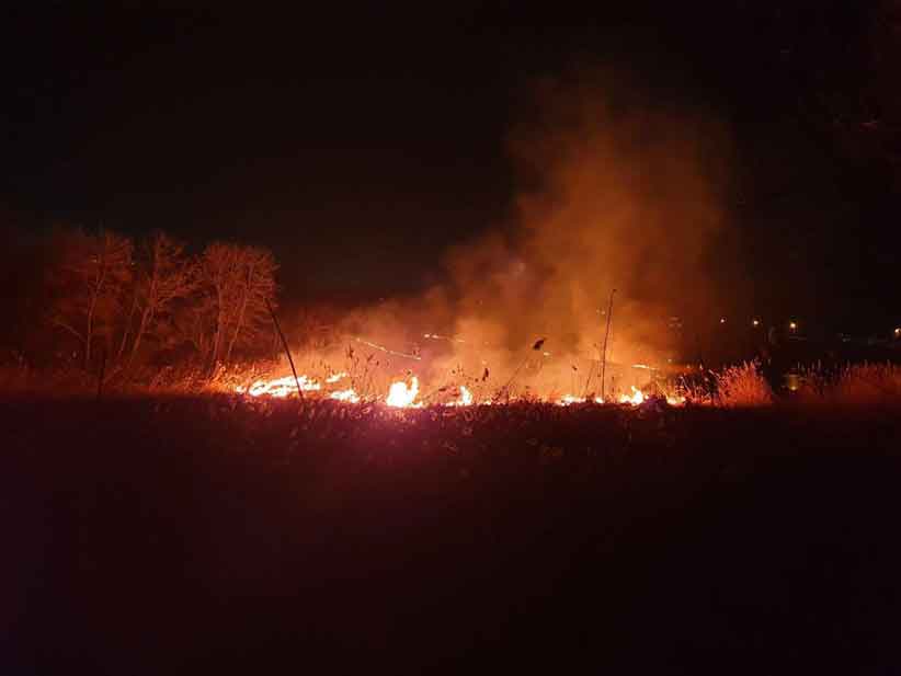 У Чернівцях масштабна пожежа на вулиці Південно-Кільцевій: горить суха трава