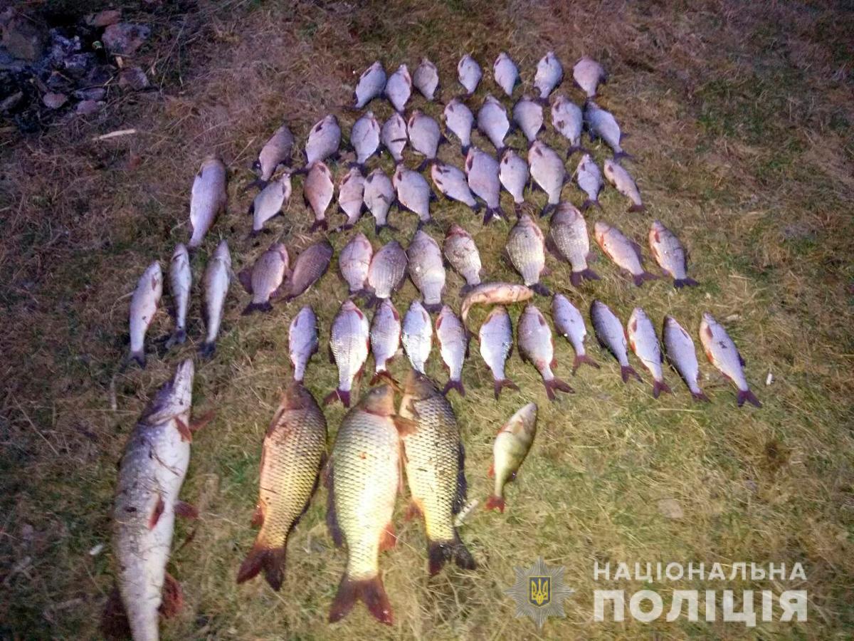 На Дністрі за незаконний вилов риби затримали браконьєра