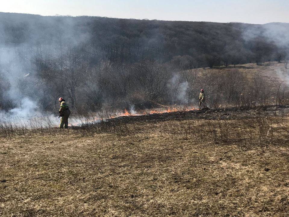 На Буковині за вихідні сталося 25 випадків загоряння сухої трави