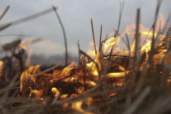 У Чернівцях ледь не загорілись житлові будинки через спалювання сухої трави
