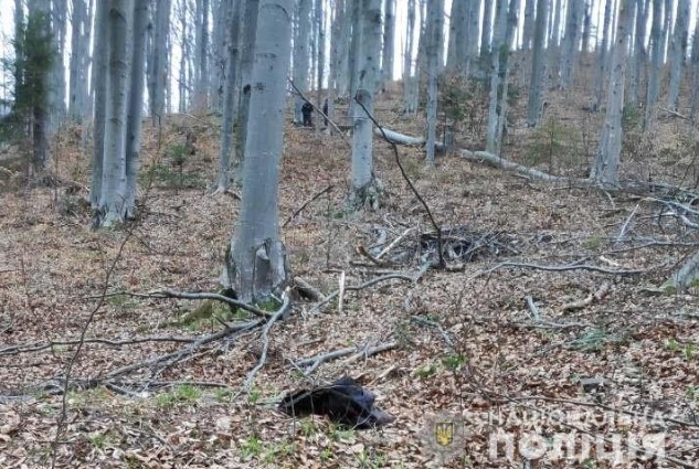 Поліція з’ясовує обставини загибелі чоловіка у лісі біля села Виженка