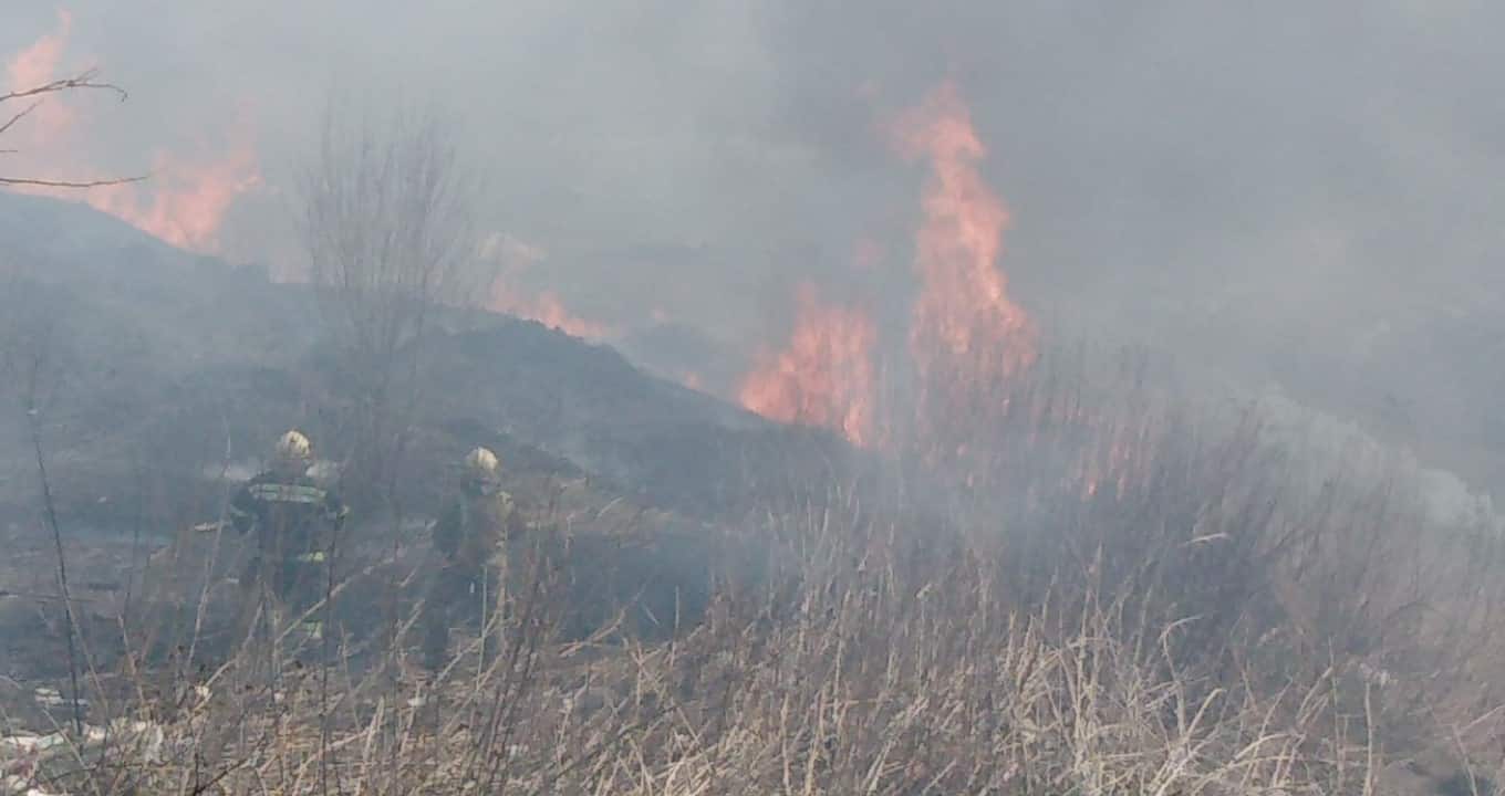 У Чернівцях знову горить суха трава (фото)