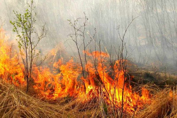 З початку року у Чернівцях трапилось 176 пожеж