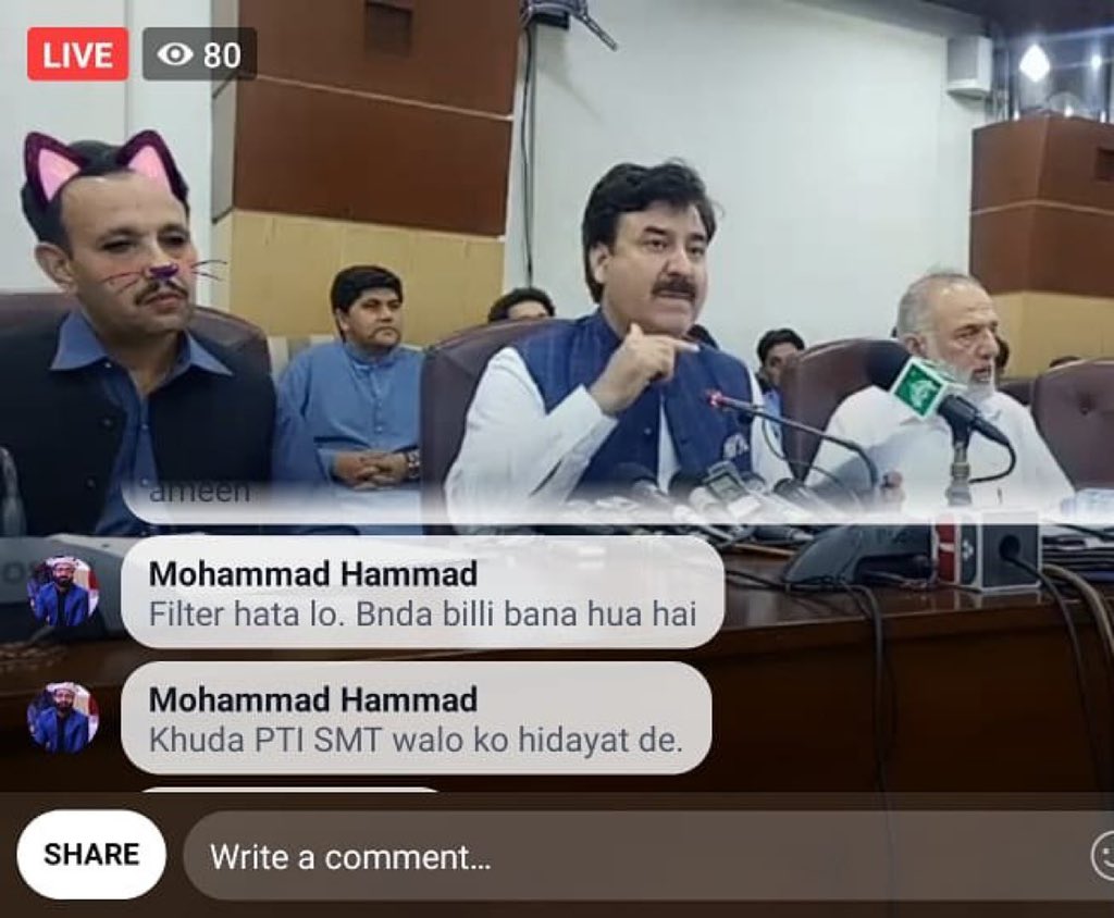 У Пакистані урядовець через фільтр у Facebook провів засідання в образі кота