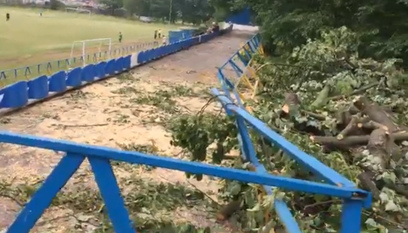 У Чернівцях під час буревію дерево впало на трибуни стадіону “Мальва”