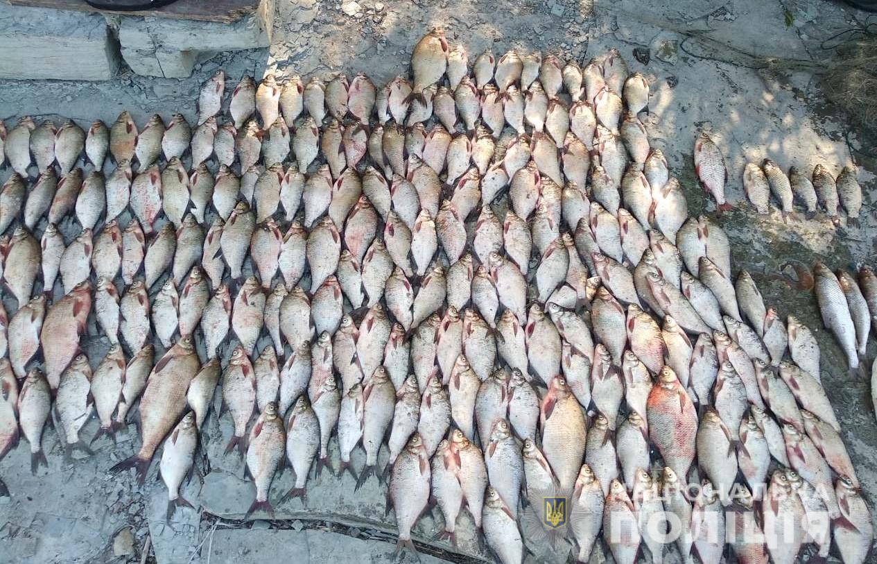 Наловили риби на понад 3000 гривень: на Буковині суд оштрафував браконьєрів