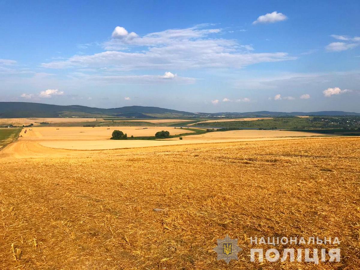Битва за урожай: поліція Буковини перевіряє звернення щодо незаконного збору пшениці