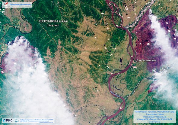 Як виглядають лісові пожежі у Сибіру з космосу (фото)