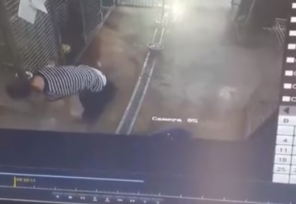 У Чернівцях один з працівників центру стерилізації знущається з собаки (відео)