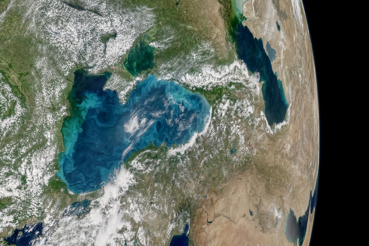 Що знайшли екологи в Чорному морі: небезпечні речовини та сміття