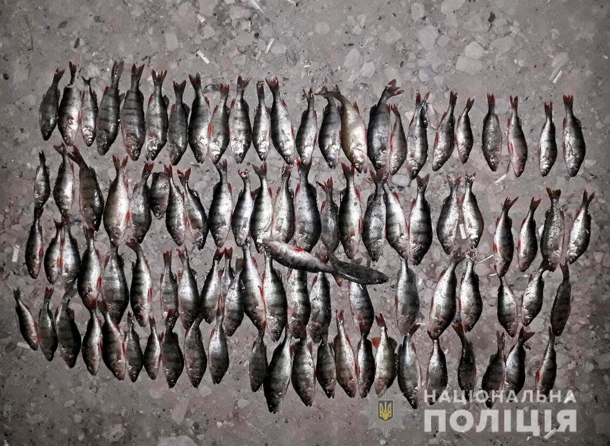 У Новодністровську поліцейські задокументували факт незаконного вилову риби