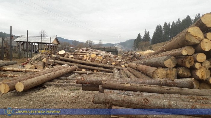 СБУ попередила нелегальний експорт карпатського лісу на мільйони гривень