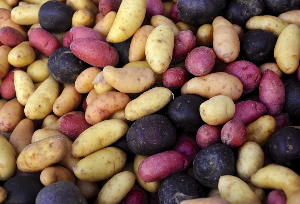Серед овочів «борщового набору» подешевшали лише картопля та цибуля