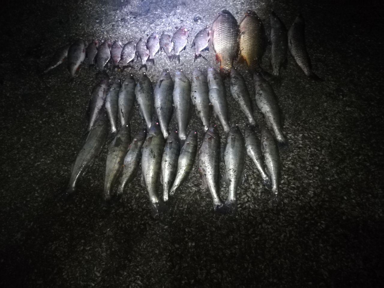 На Дністровському водосховищі браконьєри виловили 22 кг риби сітками