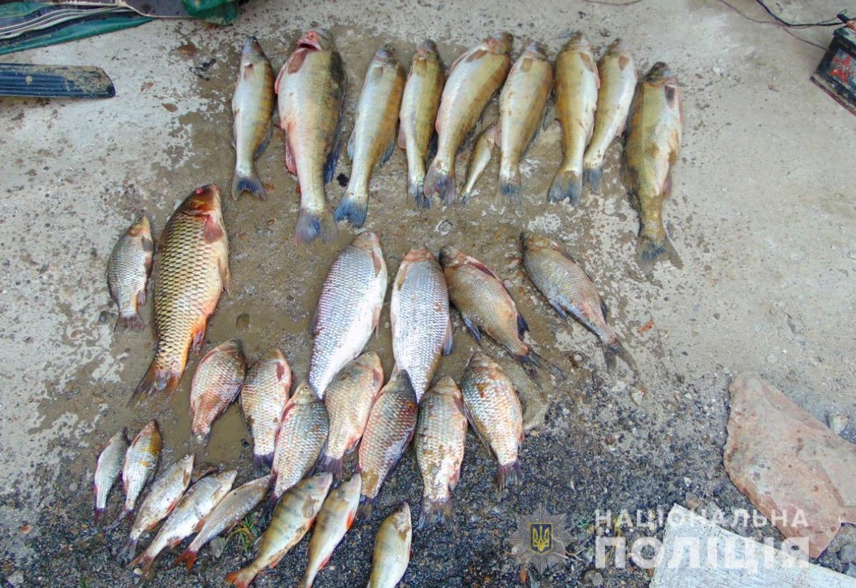 У Сокирянському районі поліцейські задокументували незаконний вилов риби
