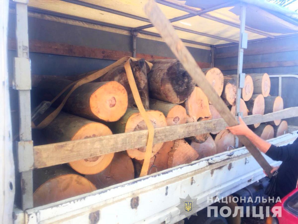 На Вижниччині поліцейські виявили незаконне перевезення деревини