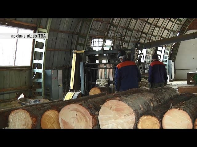 Чому лісова сировина для підприємців-експортерів на Буковині дорожча, ніж у Європі