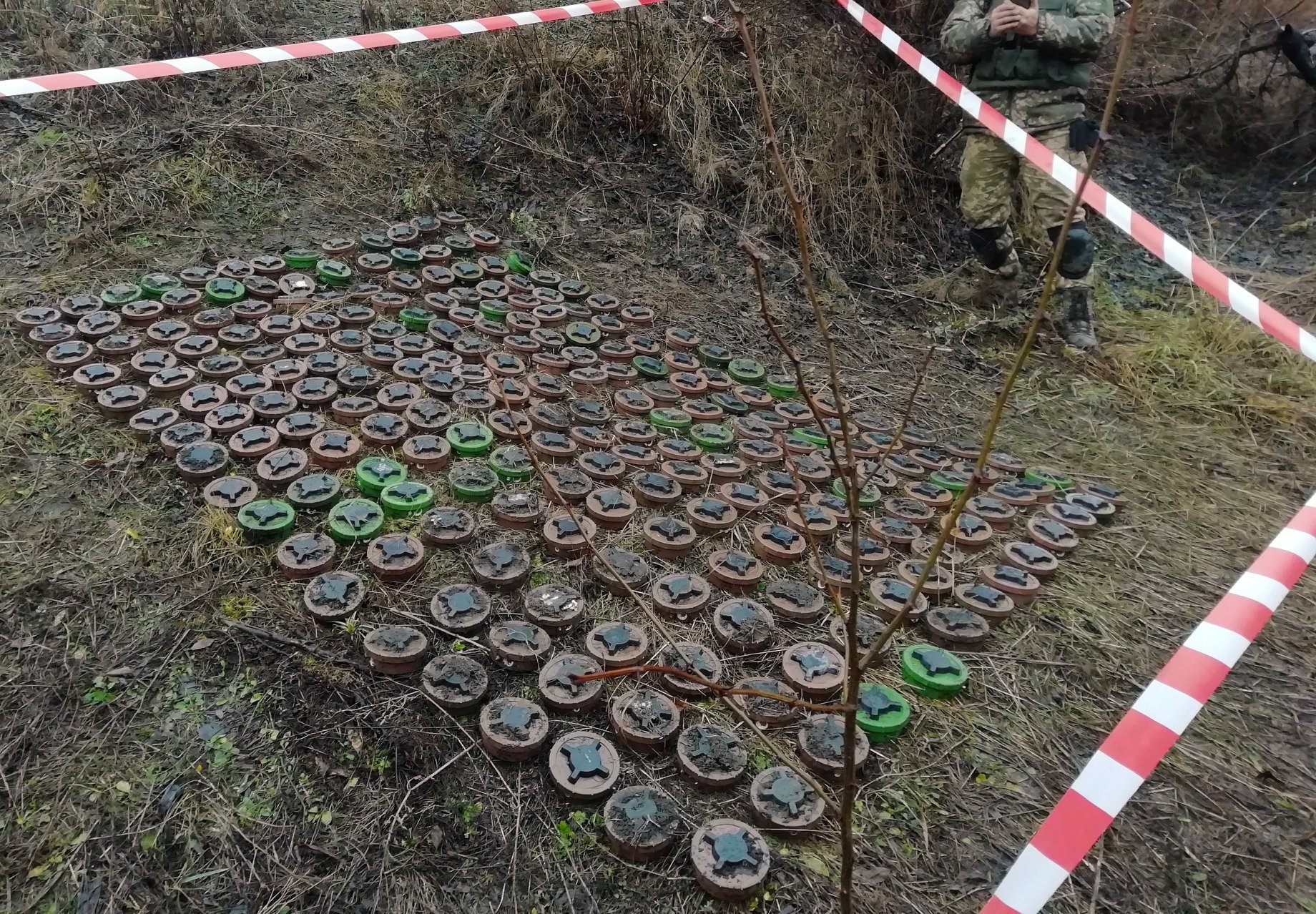 Група розмінування на Донбасі знайшла ціле поле “чорних вдів”