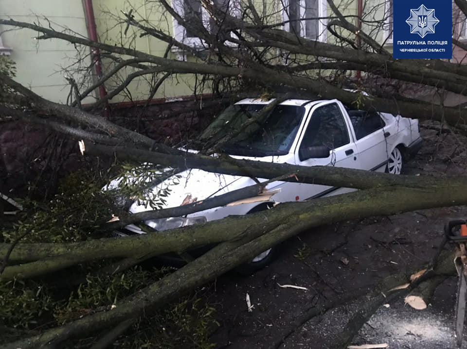 На Буковині вітер повалив дерева, пошкоджено автівки та лінії електропередач