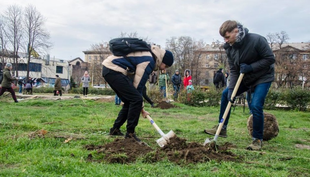 В Україні у березні планують висадити 10 мільйонів дерев