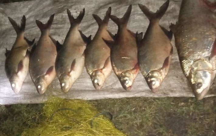 У лютому порушники завдали понад 60 тис. грн збитків, – Чернівецький рибоохоронний патруль