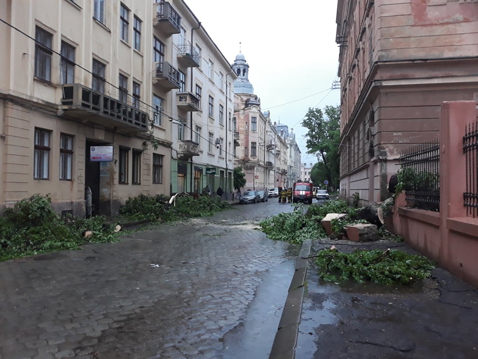 У Чернівцях сильний вітер повалив дерево на вулиці Лисенка