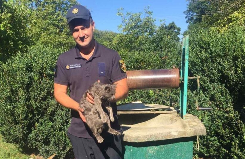 На Буковині працівники ДСНС врятували кішку, яка впала в колодязь