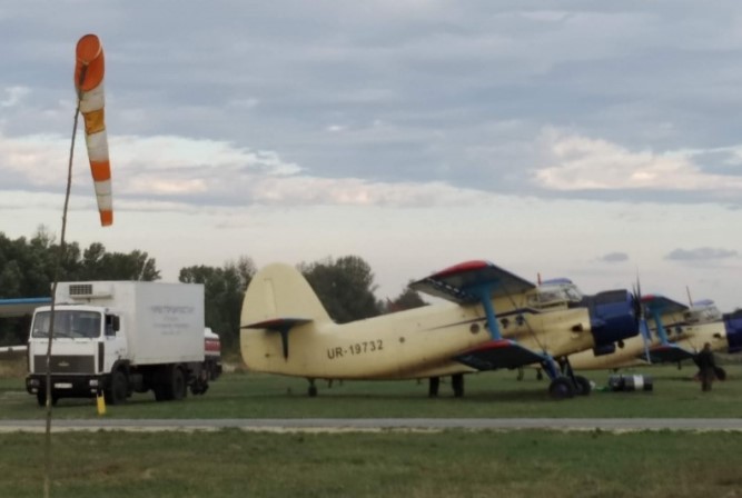 На Буковині з літаків розкидатимуть вакцину для диких тварин