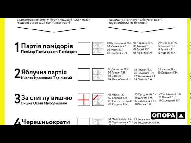У виборах до Чернівецької міської ради візьмуть участь 19 партій