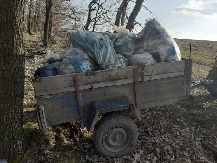 В Новоселиці із Беретянського лісу волонтери вивезли близько 10 тонн сміття