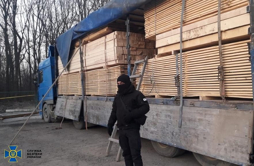 Вивезли дерев на 15 мільйонів гривень: СБУ викрили схему незаконного експорту