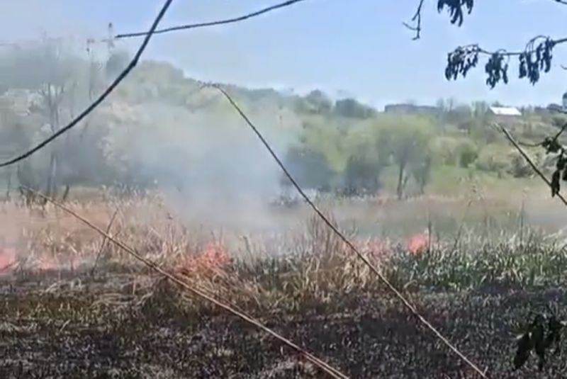 У парку “Жовтневому” трапилась пожежа: рятувальники 4 години гасили вогонь