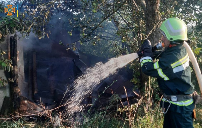 Доки гасили пожежу надихалися чадним газом: нещасний випадок на Буковині