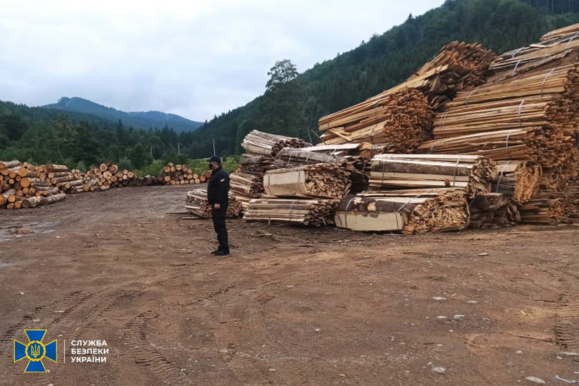 На Буковині СБУ заблокувала схему продажу деревини із заповідної зони