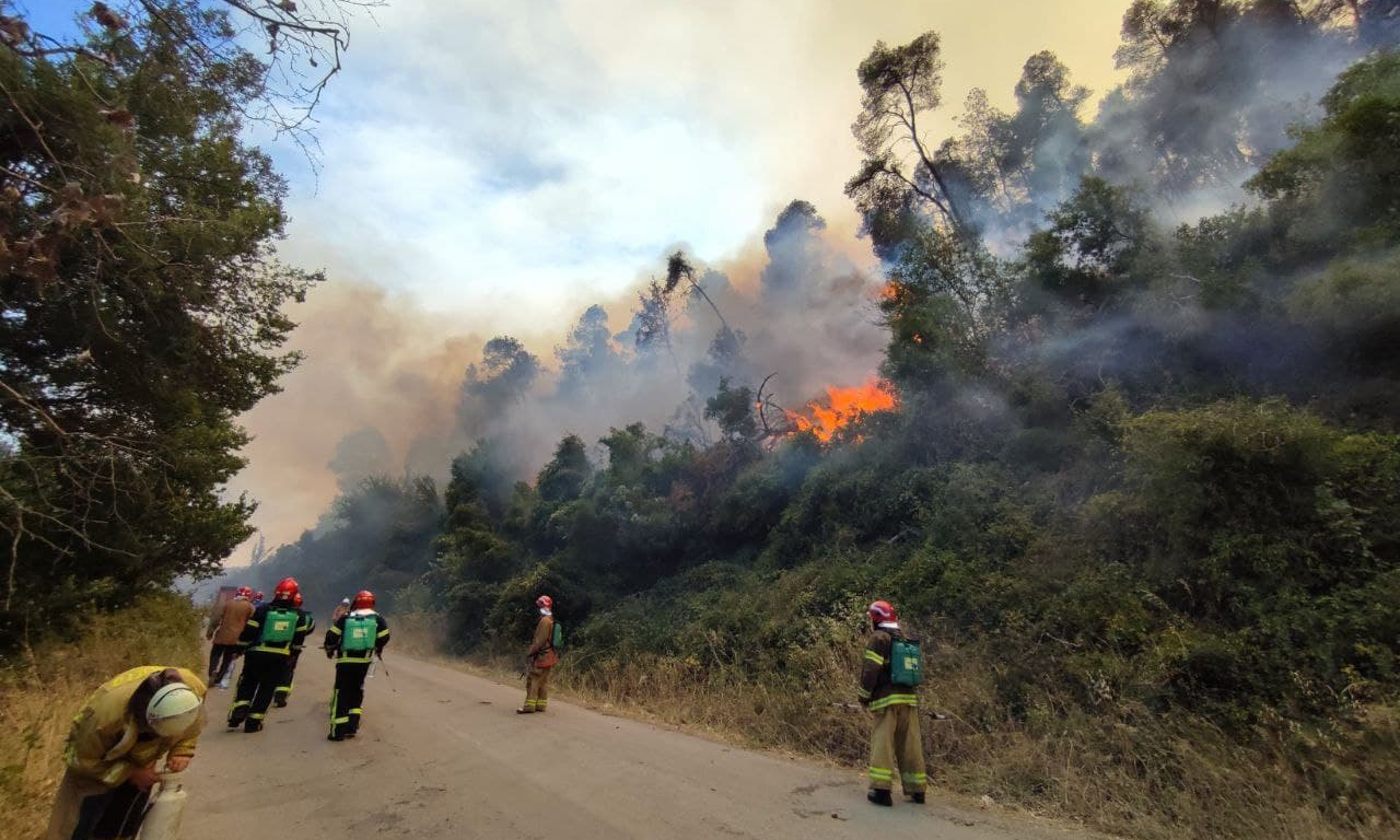 Лісові пожежі в Греції: українські пожежники врятували від вогню два населені пункти