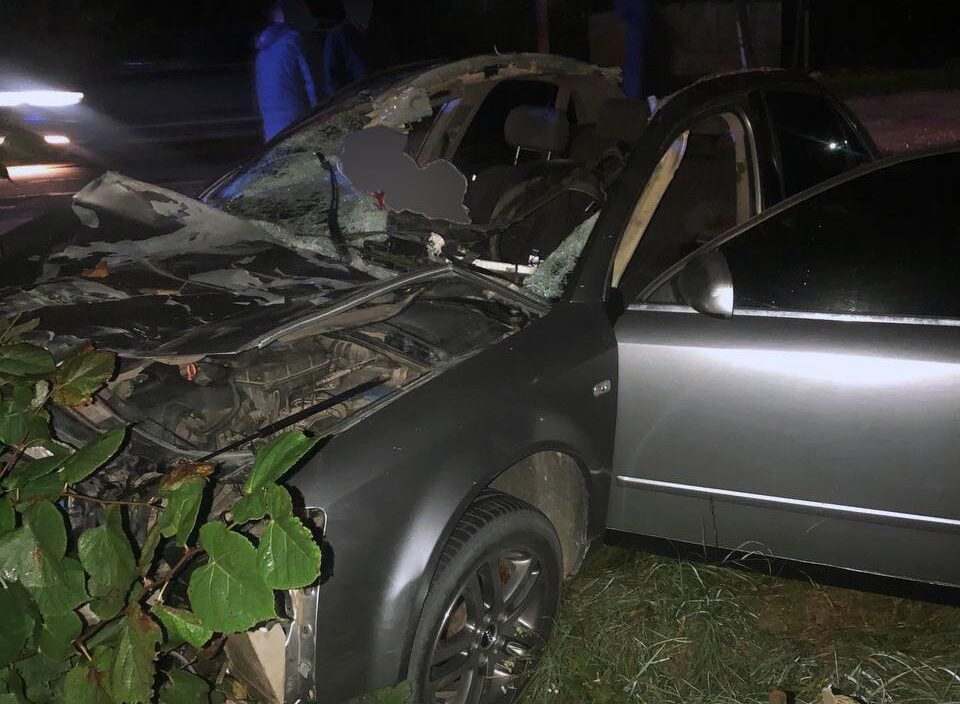 На Буковині трапилась ДТП: загинув пасажир