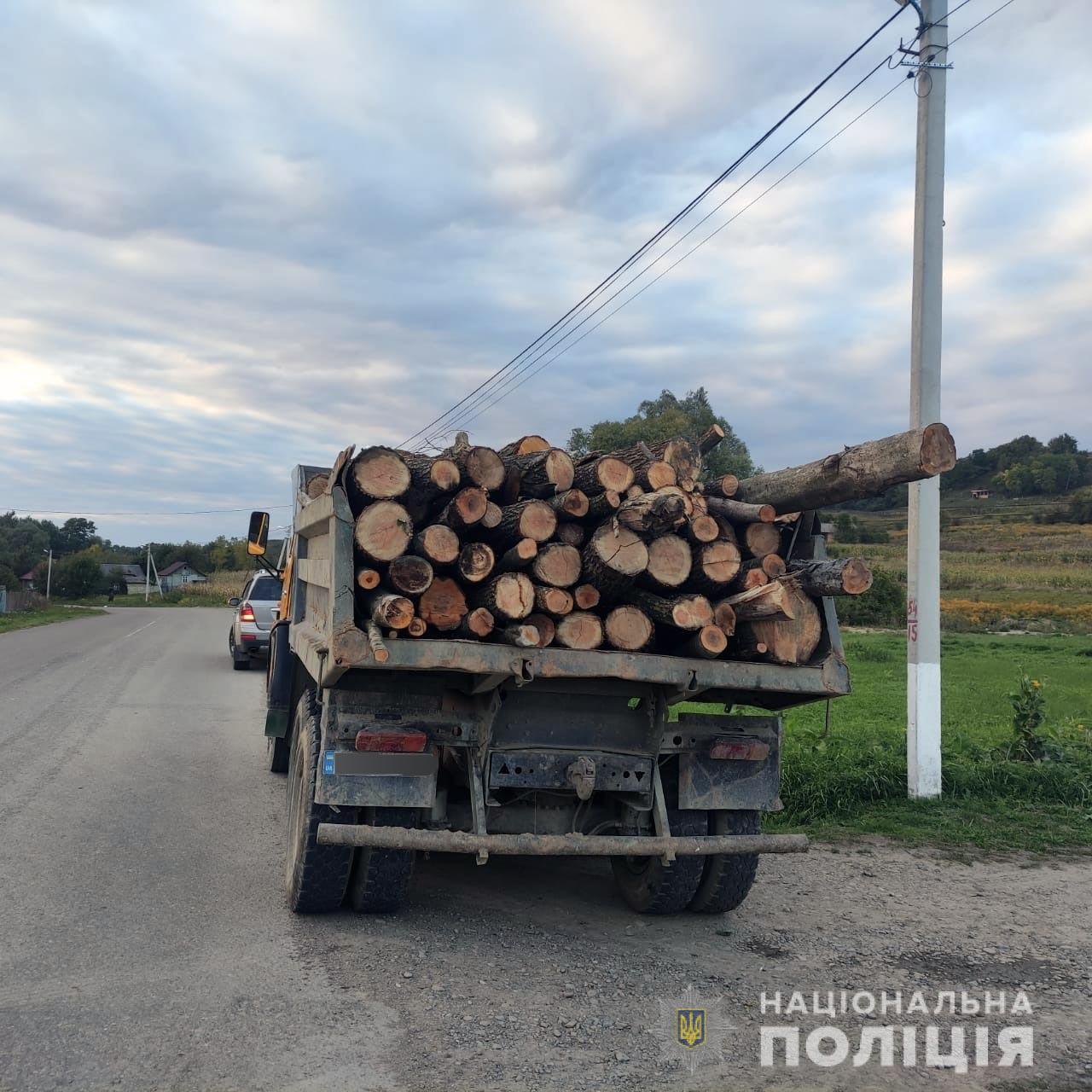 Поліцейські зупинили “КАМАЗ”: буковинець незаконно перевозив деревину