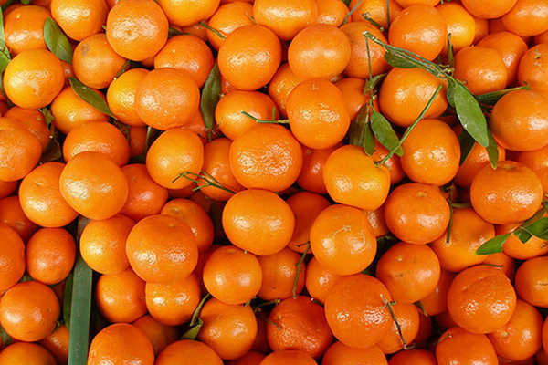 Росія знов обмежила ввезення фруктів  з Туреччини, під санкції потрапили мандарини