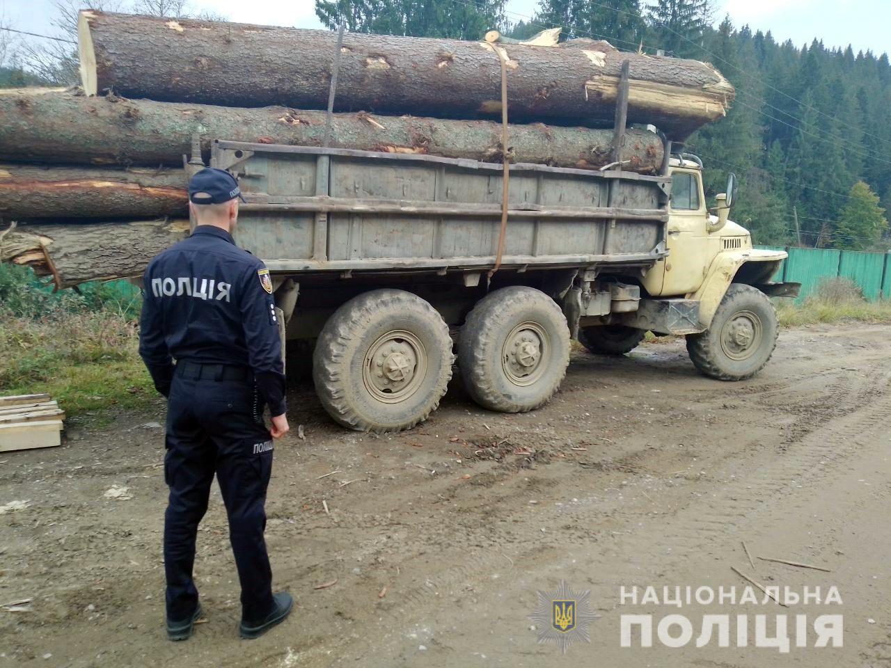 Пред’явив фальшиві документи: на Буковині чоловік незаконно перевозив деревину