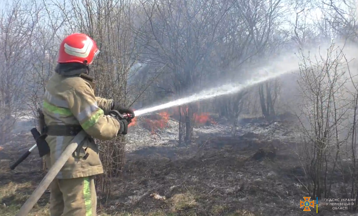 Палили суху траву: на Буковині неконтрольований вогонь ледь не перекинувся на ліс