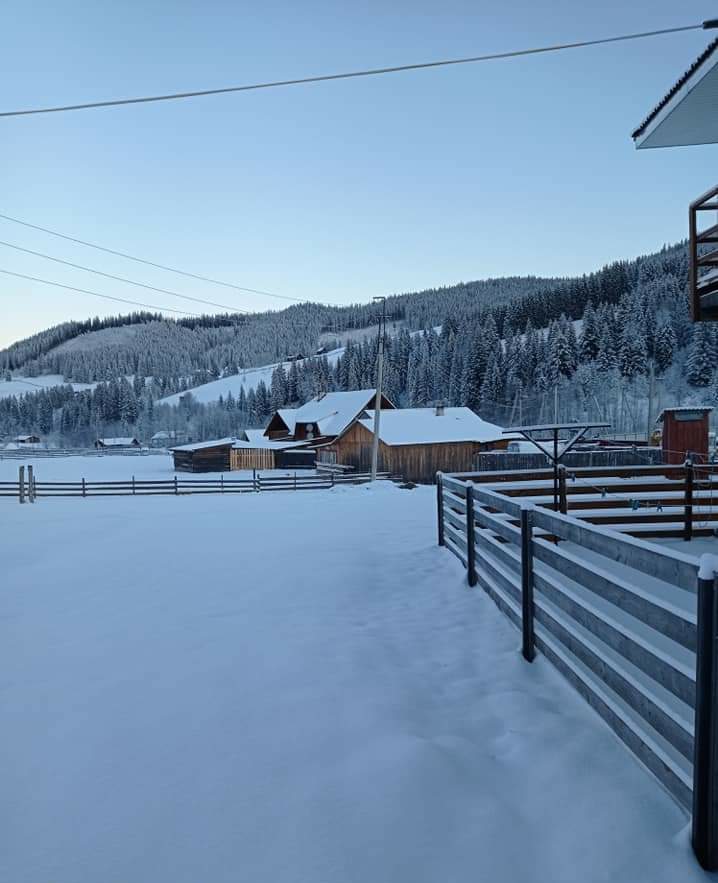 Температура впала до -20⁰С: гірські села Буковини засипало снігом
