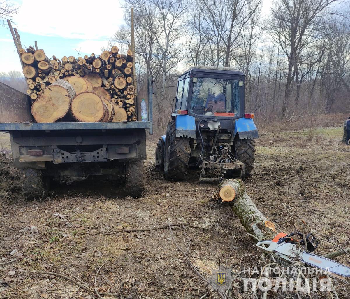Незаконно зрубували і вантажили дерева: буковинські поліцейські викрили злочин у лісосмузі