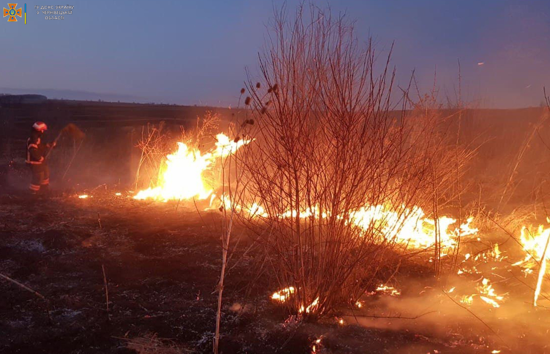 За добу буковинські рятувальники ліквідували 21 пожежу:  більшість — на відкритій території