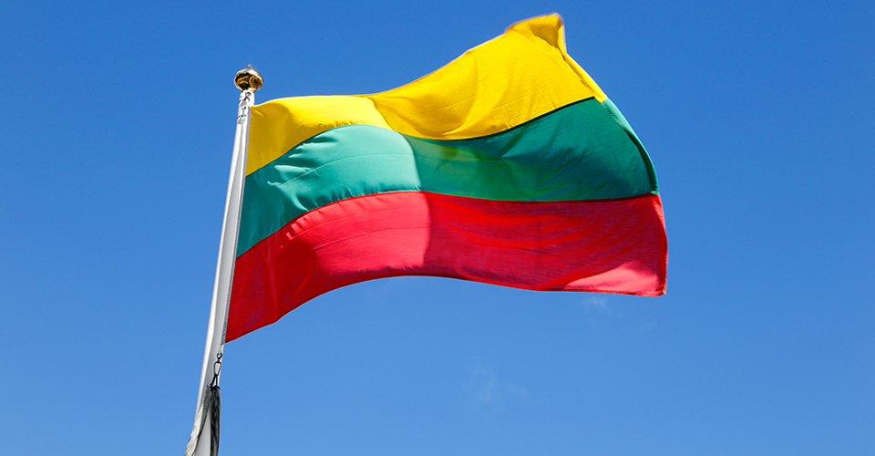 Литва виділила понад €1 млн для українців на вивчення литовської мови