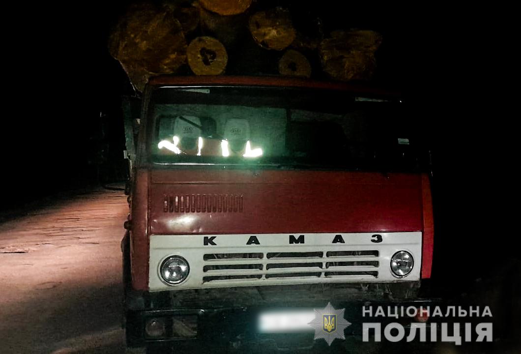 На Буковині поліція в виявила незаконне перевезення деревини