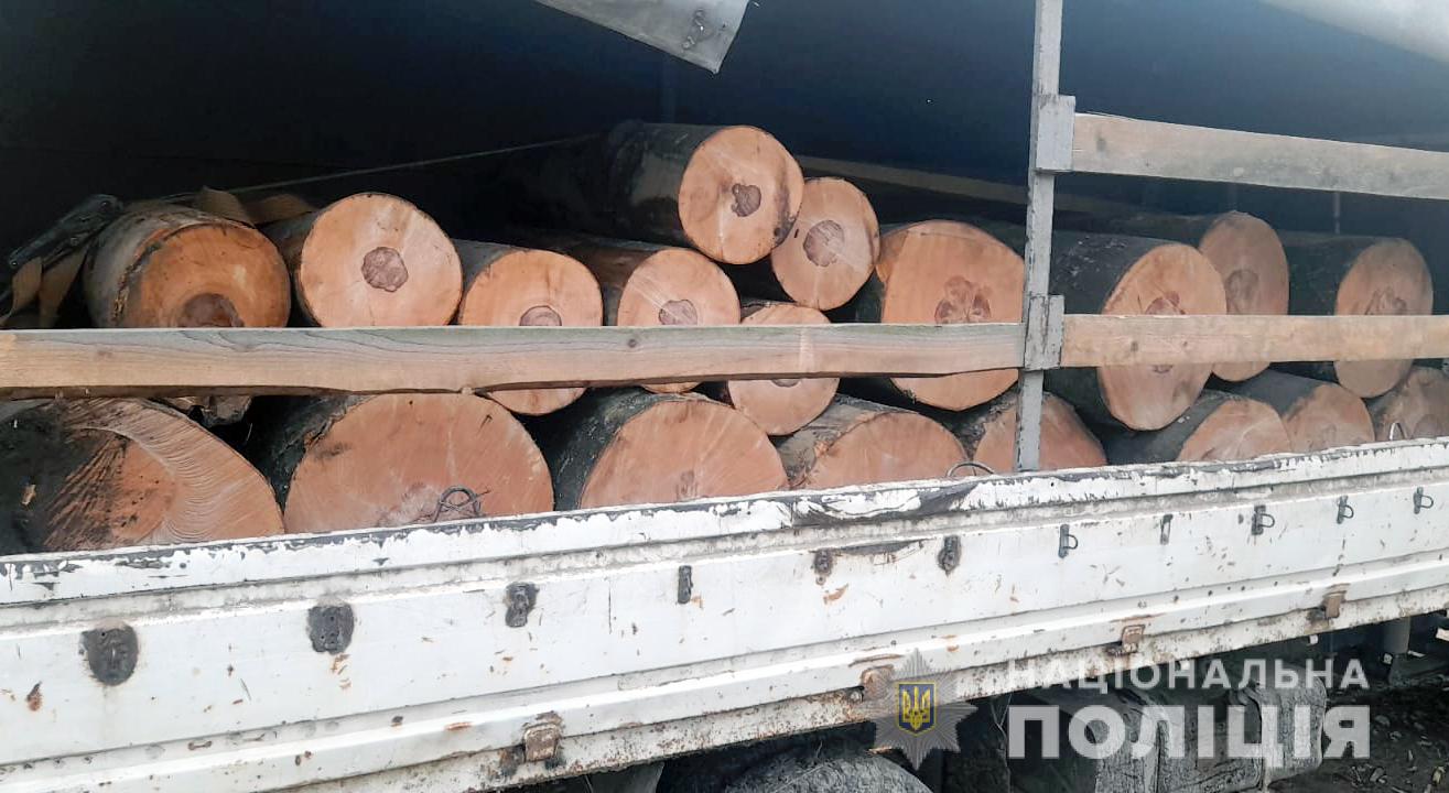 У Вижницькому районі поліціянти виявили незаконне перевезення деревини